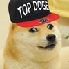 Avatar de R4P70R