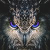 Avatar de Yuri_the_Owl