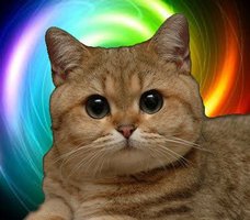 Avatar de lordbob