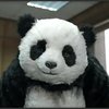 Avatar de Artagon