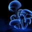 Shroomstyle
