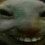 piods