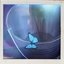 TheFruityOtter